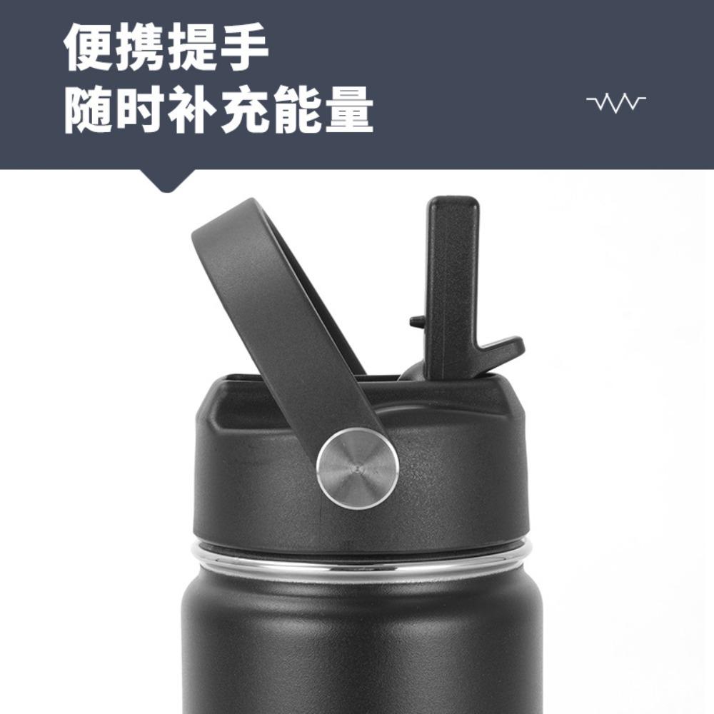 16oz 304 Stainless Steel Water Bottle, Double Wall Vacuum Insulated Sports Flask with Flip Straw Lid & Carry Handle