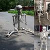 Halloween Skeleton Prop Human Full Size  Hand Life Body Anatomy Model Decor