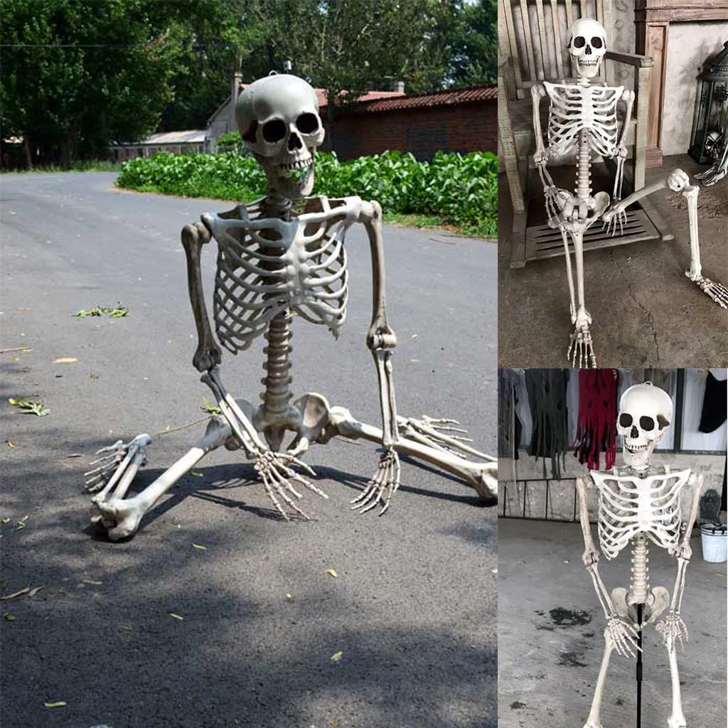 Halloween Skeleton Prop Human Full Size  Hand Life Body Anatomy Model Decor