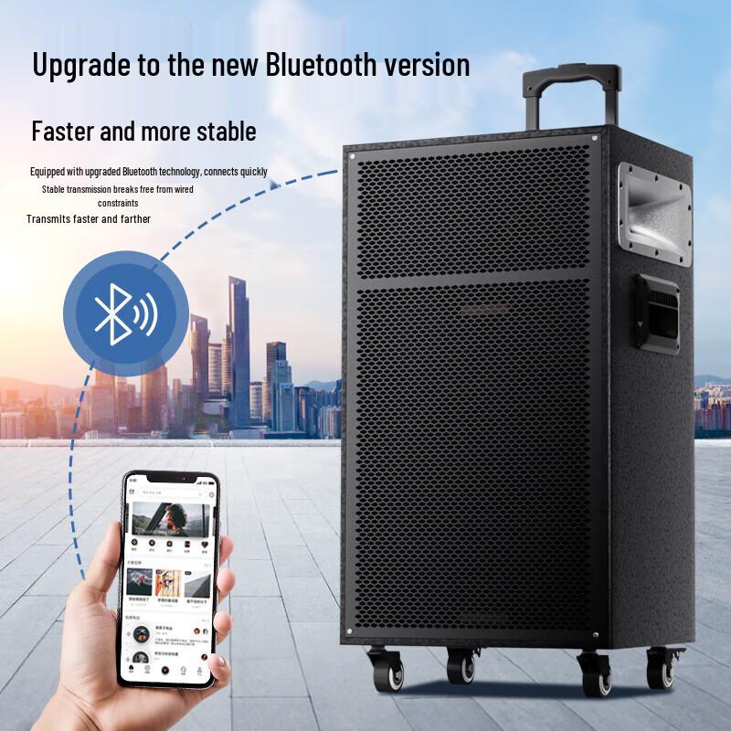 Newman N550 12-inch Outdoor Portable Bluetooth Speaker