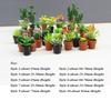 3pcs New 1:12 Dollhouse Miniature Potted Plant Multistyles Mini Bonsai Garden Home Model Play House Decor Doll House Accessories