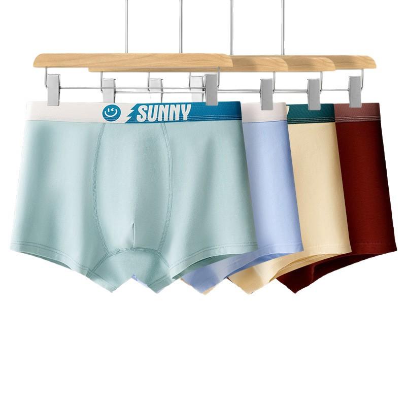 Male Spring and Autumn Cotton 10A Antibacterial Youth Development Period Flat Angle Underwear