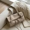 Bag Simple Niche Single-shoulder Armpit Bag Matte Textured Bowknot Twisted Braid Shoulder Strap Fashionable Solid Casual