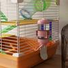 5-Tier Hamster Cage with Tubes, Wheel, Ladders, House and Bottle, 46x30x58 cm, Orange