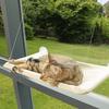 Removable, Washable Cat Hammock with Suction Cups - Perfect for All Seasons