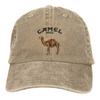 Cappellini da Baseball Unisex Camel Mirage Band Lavati Usurati Cappello Vintage per Esterno Tutte le Stagioni Viaggio Vestibilità Regolabile Cappellino da Sole