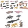 Crocodile Dolphin South American Animal Model Set Wildlife Display For Educational Use