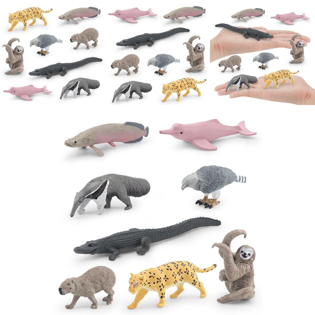 Crocodile Dolphin South American Animal Model Set Wildlife Display For Educational Use