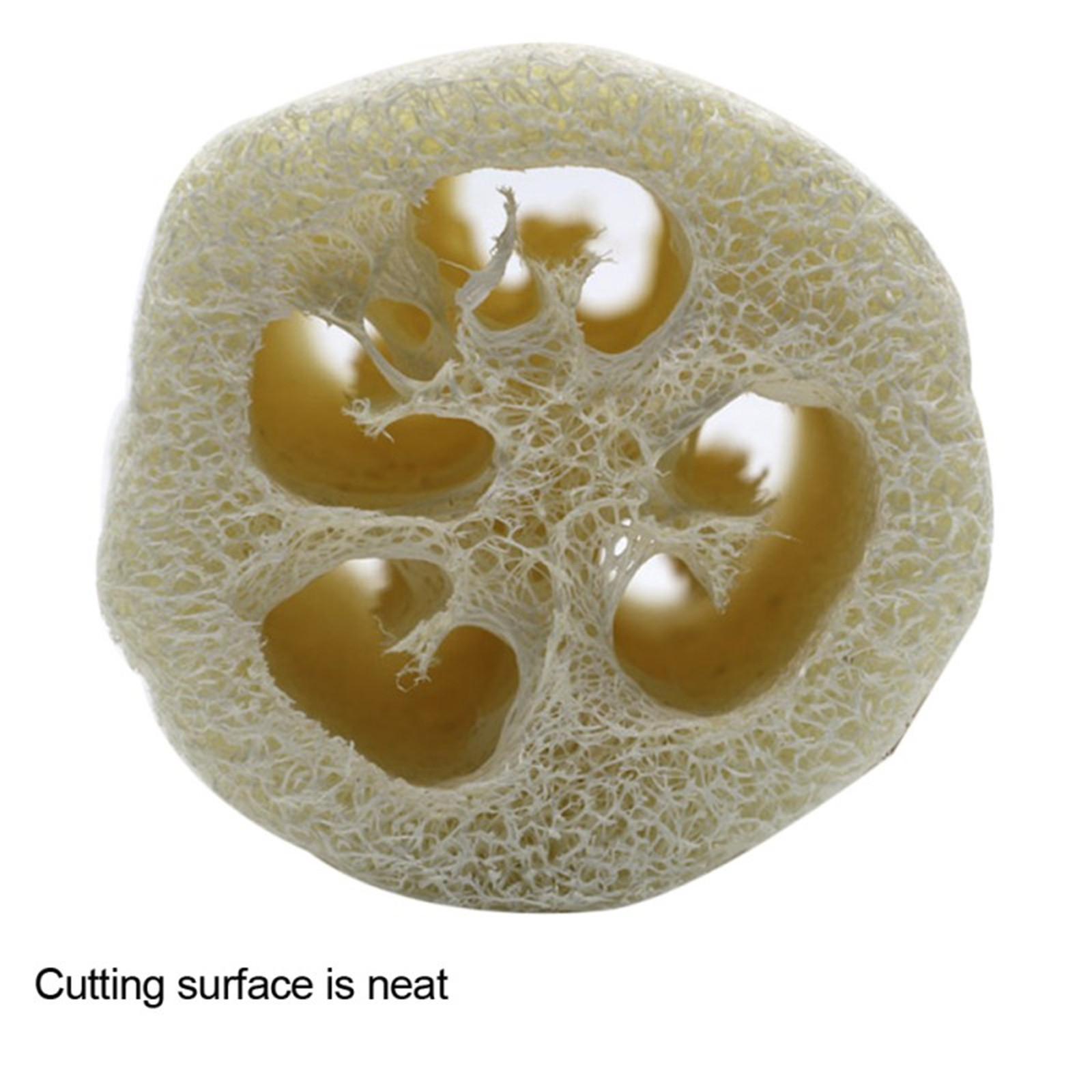 Губка из люфы Большая отшелушивающая губка для душа Премиум Натуральная экологически — фото 3