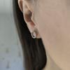 Silver Earrings with Cubic Zirkonia (2193081)