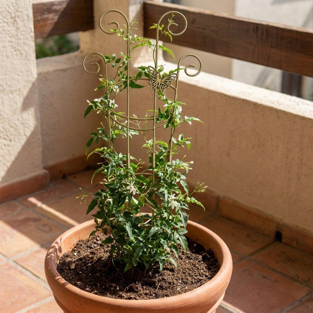 Verdickter Blumentopfhalter Schmetterlingsförmiger Pflanzenstützrahmen Balkongarten