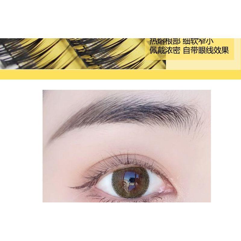 LuxeFlutter - Natural Wispy Cluster False Eyelashes