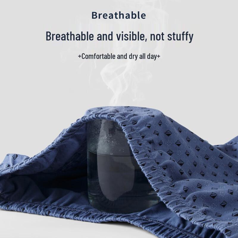 ROMON Men's 7A Antibacterial Pure Cotton Underwear for Middle-Aged & Elderly
