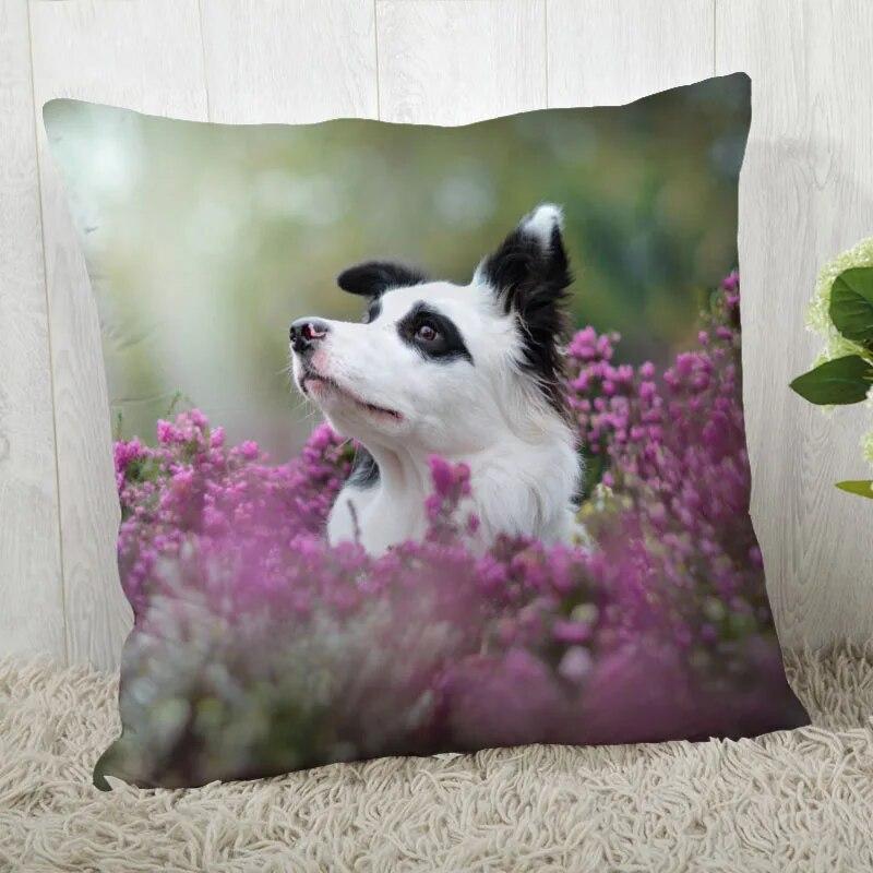 Pillowcase Border Collie  Modern Home Living Room Decor