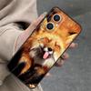 Cute Fox In Autumn Case For OPPO Reno 4Z 5Z 8T 10 11 Pro 11F 7 8 5 6 Lite OPPO Find X6 X5 Pro X2 X3 Neo Cover