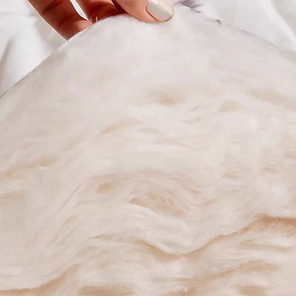 WTEMPO All Seasons Thick Bedroom Bed Sheet Foldable High Quality Soft Mattress Tatami Pad School Dormitory Bed Mattress Pad