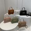 Stylish Women's Small Square Handbag In Chic Colors Ideal For Autumn Fashion Trends