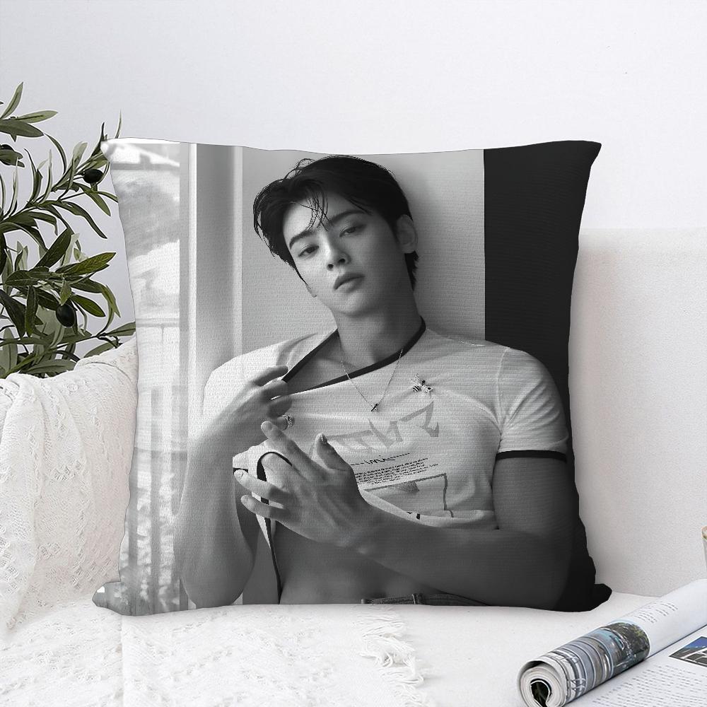 Kpop Singer Cha E-Eun W-Woo Pillow Case Plush Fabric Soft  Pillowcase Double Sided Print   Cushion Cover Throw Pillow Cover