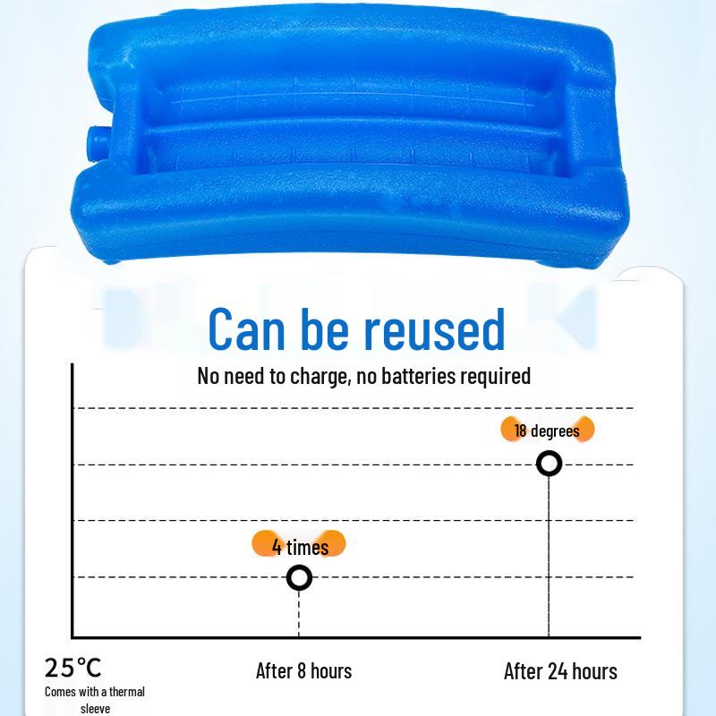 Portable Insulin Cooler Bag with Ice Pack - Compact Insulated Medicine Preservation Set