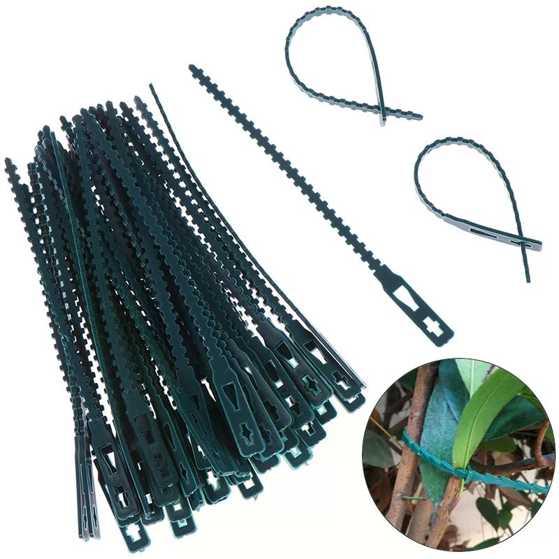 50Pcs Adjustable Plastic Plant Cable Ties Reusable Self-locking Ties Garden Plant Vine Supports Cable Ties Stem Clip Fastener