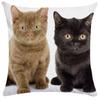Pillowcase Cute Pet Cat Sleeping Bubble Black Kids Gift Cushion Cover Sofa Living Room Home Decor Custom