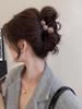 2025 Leopard Print High-End Large Shark Hair Clip for Women