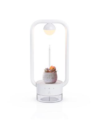 Add Some Greenery To Your Home with Epeios LED Plant Grow Light, Perfect for Growing Succulents and Indoor Gardening. Features 24-hour Automatic Growt