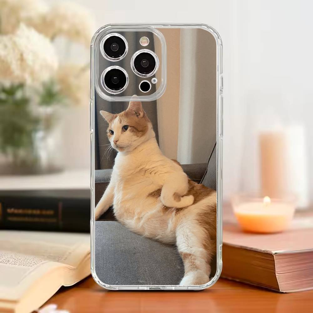 Funny Cat Memes Phone Case For iPhone17,16,15,14,13,12,11 Plus,Pro Max,Soft Transparent Cover