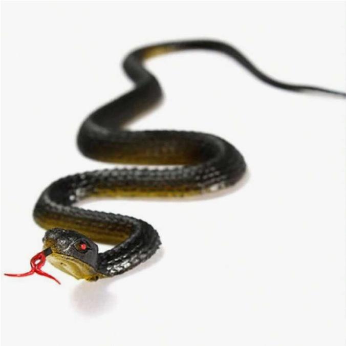 

Scary 45cm Realistic Fake Rubber Snake Toy Simulation Anaconda Prank Trick Toy Halloween Prop Bird Deterrent Accessory