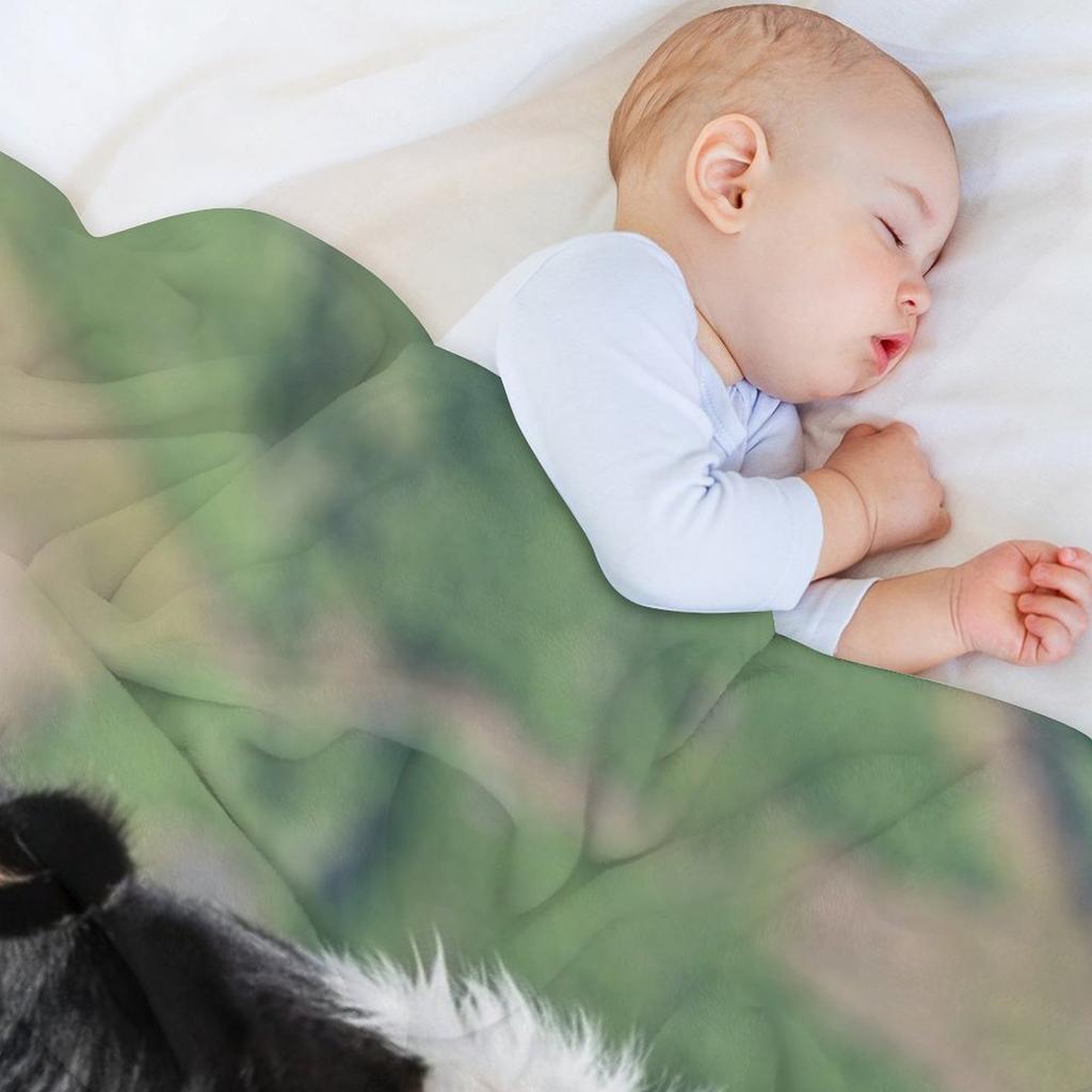 Belted Galloway Cow Throw Blanket Fashion Sofas Soft Big Extra Large Throw Decorative Blankets