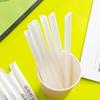 ZISIZ Individually Wrapped Disposable Straws
