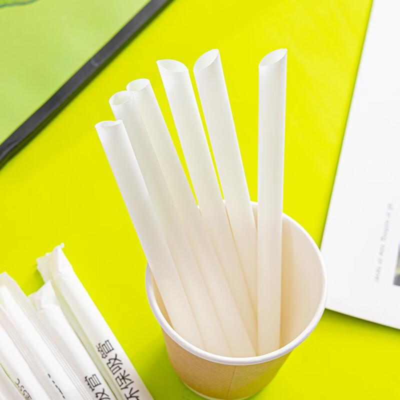 ZISIZ Individually Wrapped Disposable Straws