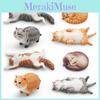 Fat Sleeping Cat Pvc Model For Desktop Decoration And Educational Use
