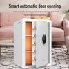 Tiger Home & Office Fingerprint Digital Safe - 55cm Series