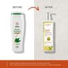 Jiva Heena Shampoo 200 Ml Pack Of 1 Deep Cleansing Hair Wash For Long Healthy Strong Hair With Natural Shine Care