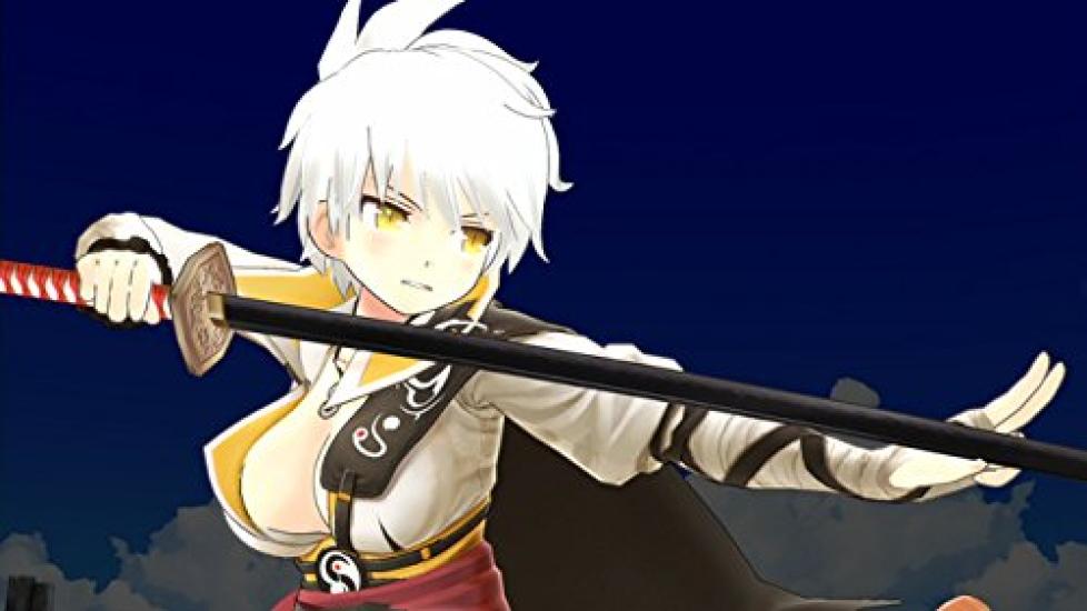 SENRAN KAGURA ESTIVAL VERSUS PlayStation Vita the Best PS Vita -Girls' Choice- (R) -