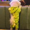 New Small Dinosaur Transforming Dog Clothes Autumn Winter Flannel Warm Teddy Cat Pet Clothes Dog Jumpsuits Rompers
