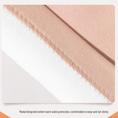 Thermal Plush-Lined Waist Support Belt