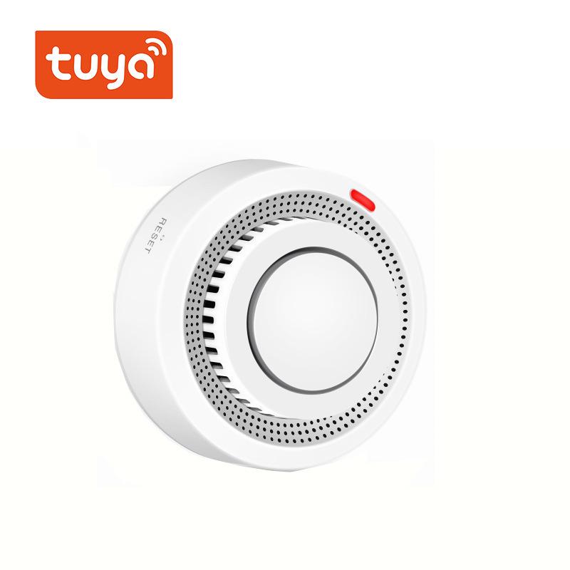 Graffiti Smart WiFi Smoke Detector - Wireless Fire Sensor with Remote Access