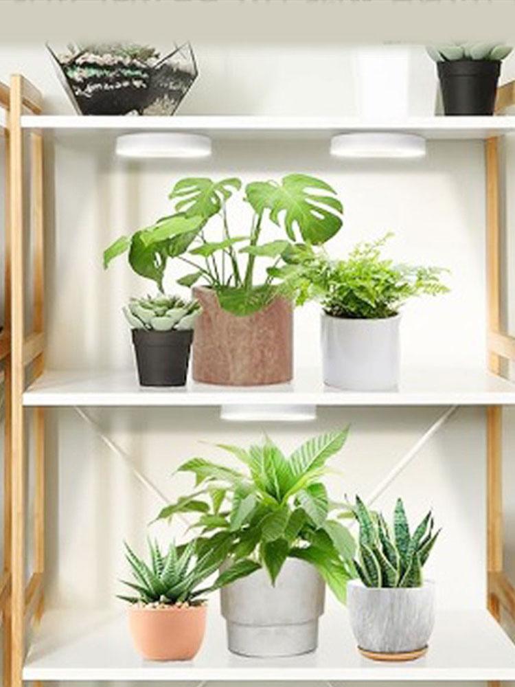 Vollspektrum-LED-Pflanzenlicht, 4 dimmbare Stufen, LED-Halo-Pflanzenlampe, höhenverstellbar, Unterschrank-Pflanzenlampe für Zimmerpflanzen