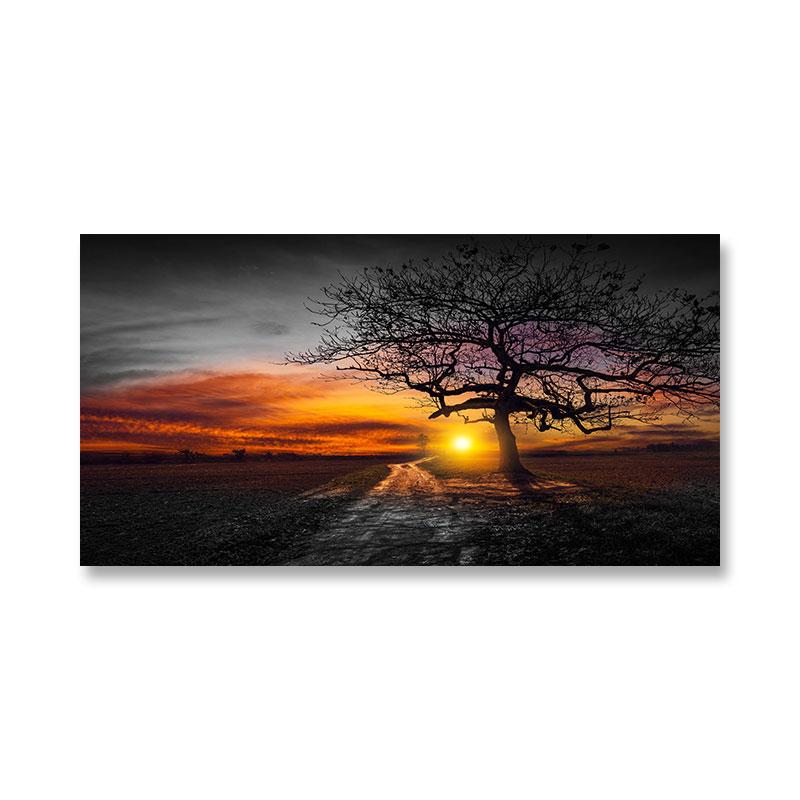 Modern Sunrise Sunset Landscape Canvas Painting Sun Tree Wall Pictures Mystery Color Wall Art for Living Room Wall Decor Cuadros