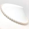 Isowa Pearl (Ise-Shima pearl specialty store) Freshwater pearl necklace 5.5-6.0mm White Magnetic clasp 65715