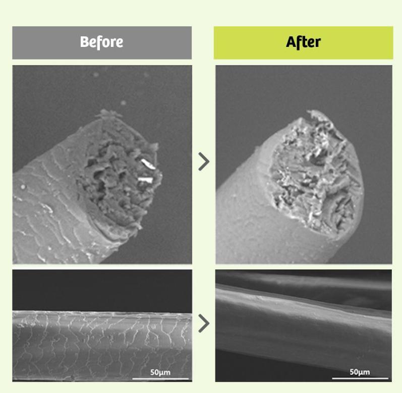 KAIST Patent Gravity Hair Lifting Shampoo Strong 475ml