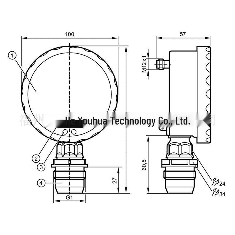 PG2899: ifm Flush-Mount Pressure Sensor with Analog Display - New, Original, In Stock PG2899