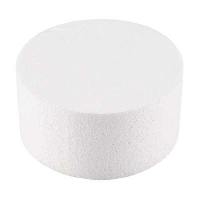 2025 Trend Round Cake Dummy (6 Inch)