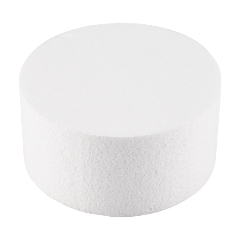 2025 Trend Round Cake Dummy (6 Inch)