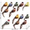 Decorative Artificial Bird Set 10Pcs 5Styles With Clips For Home Wedding Decoration