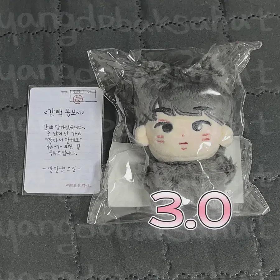 

Seventeen Кукла Вонву