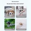 Dog Leggings Leggings Suspender Booties Shoes for Small To Large Dogs and Puppies Puppy Rain Shoes Rainwear