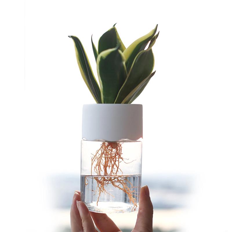 Mini Hydroponic Flower Pot Home Vase Decor Transparent Imitation Glass Soilless Plant Pots Green Plants Pot For Home Decoration